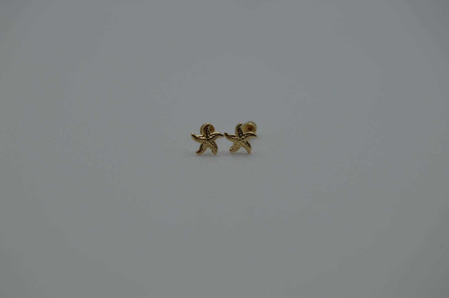 Estrella de mar chica