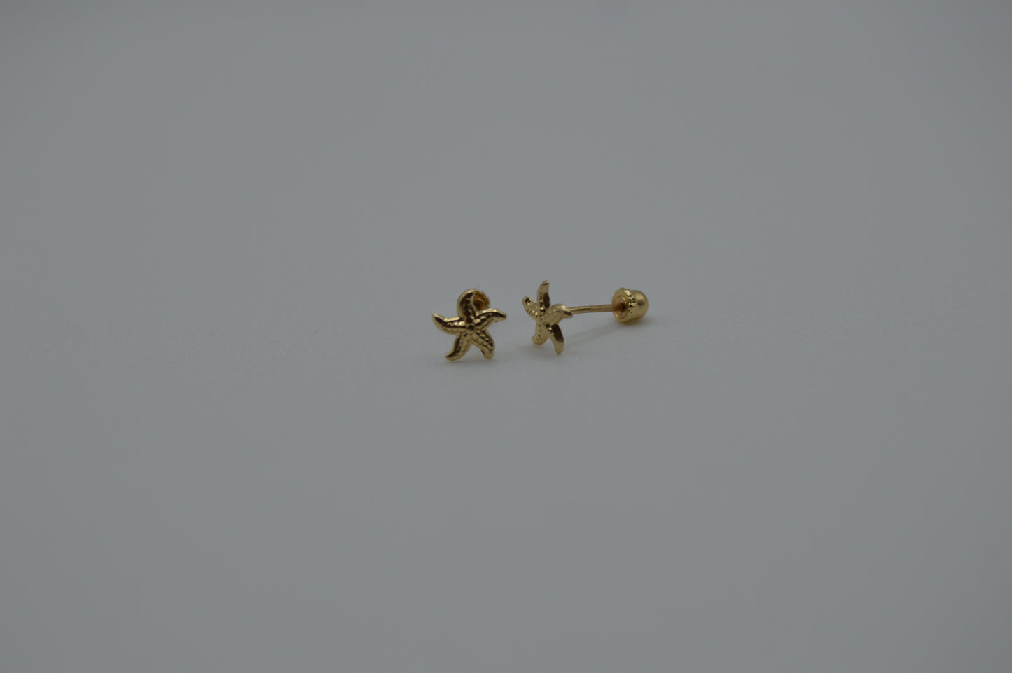 Estrella de mar chica