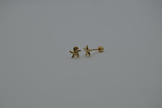 Estrella de mar chica