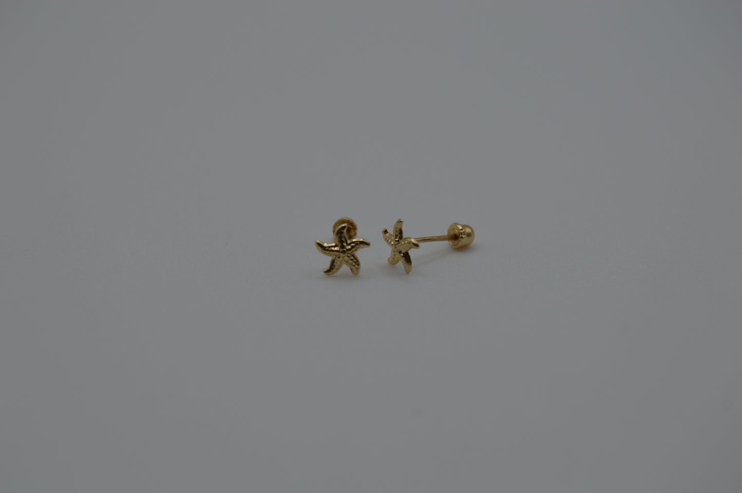 Estrella de mar chica