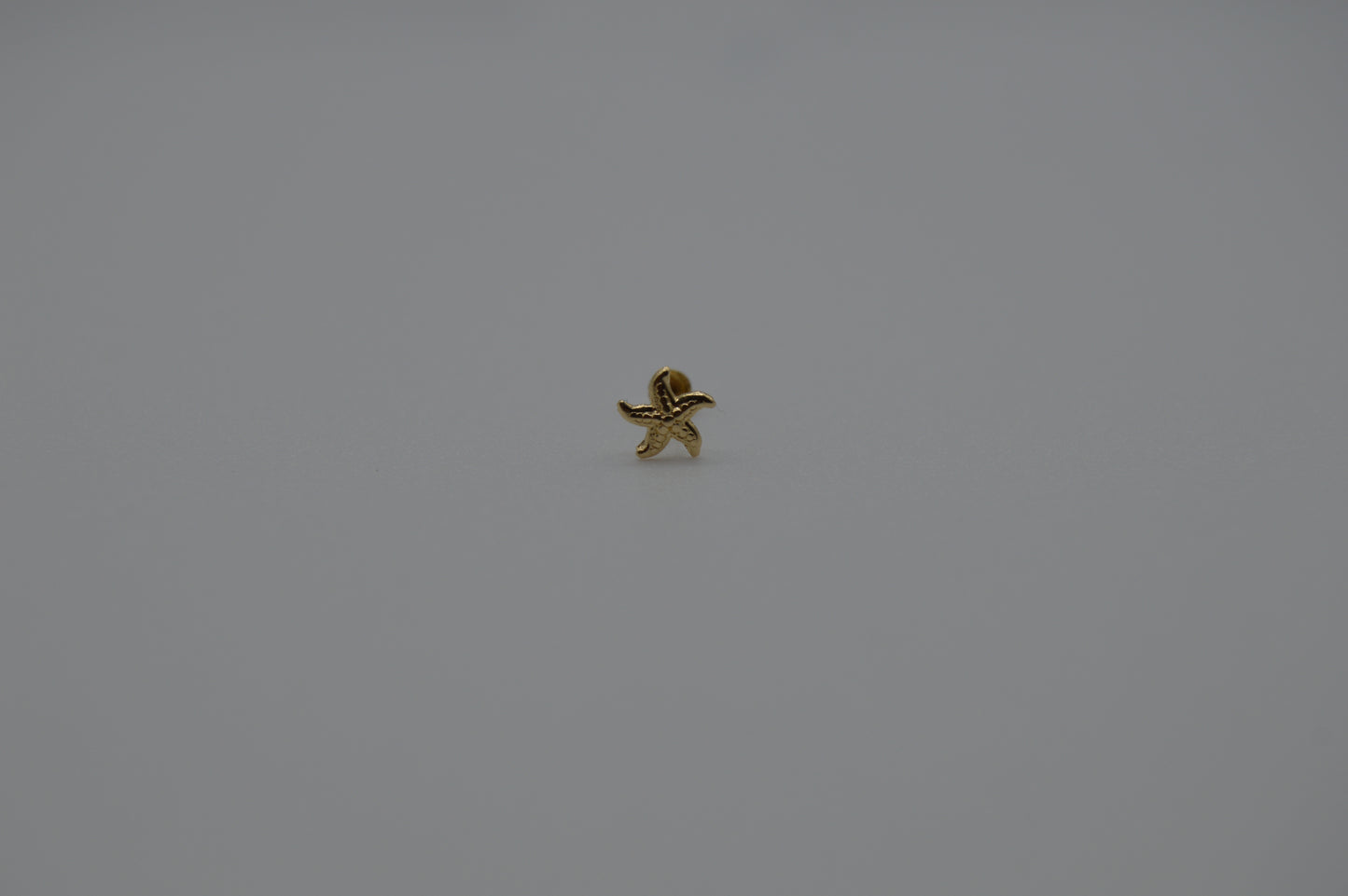 Estrella de mar chica