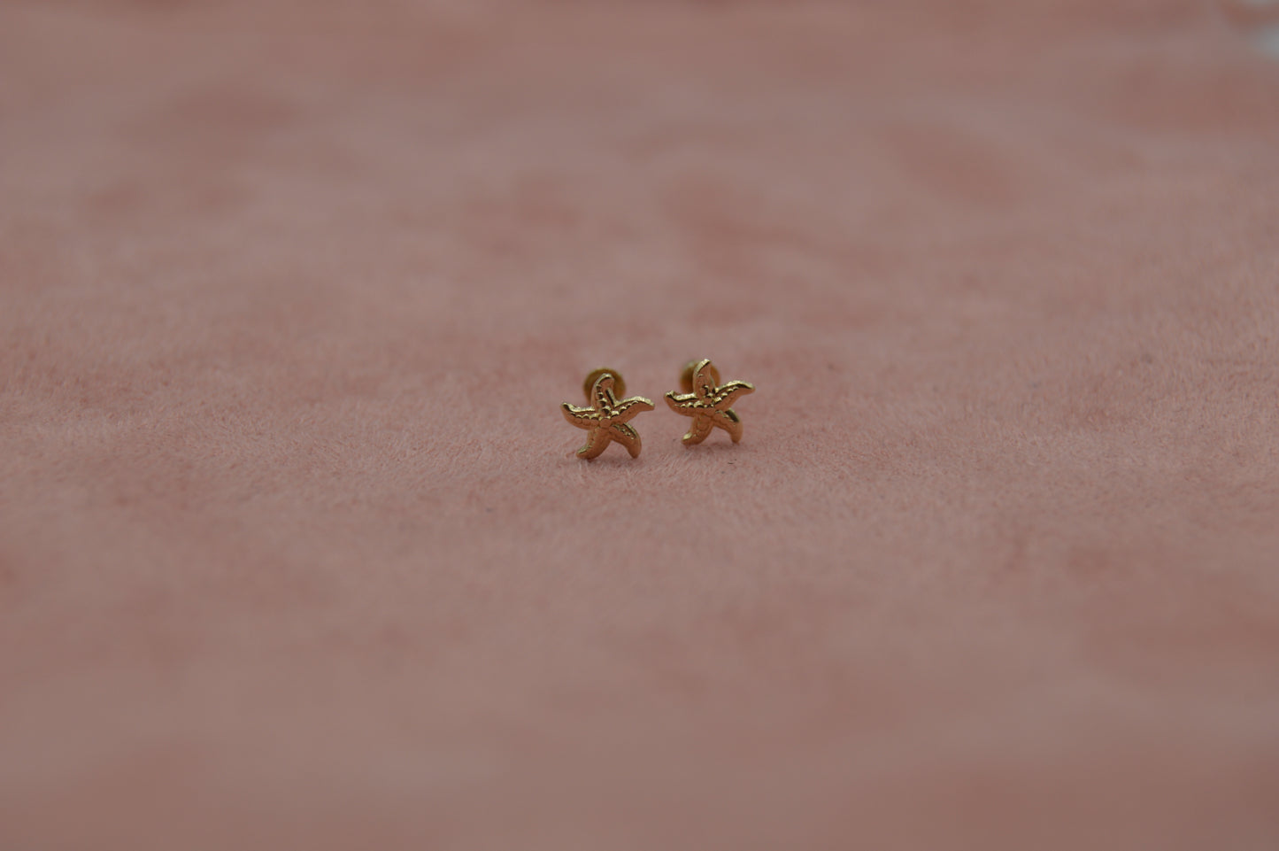 Estrella de mar chica