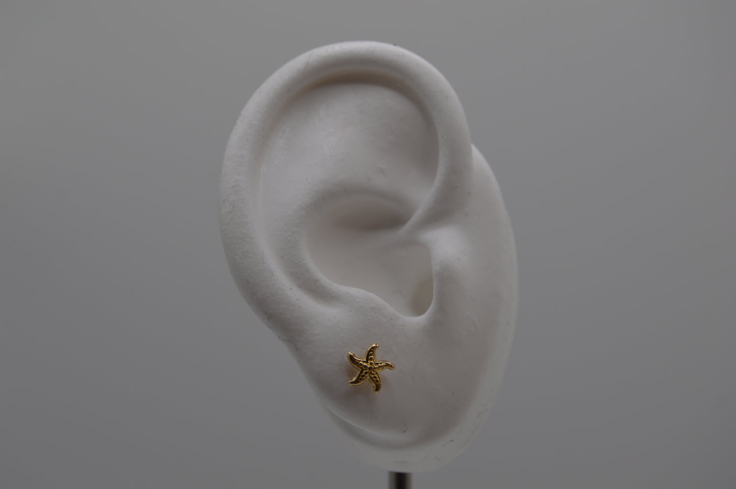 Estrella de mar grande