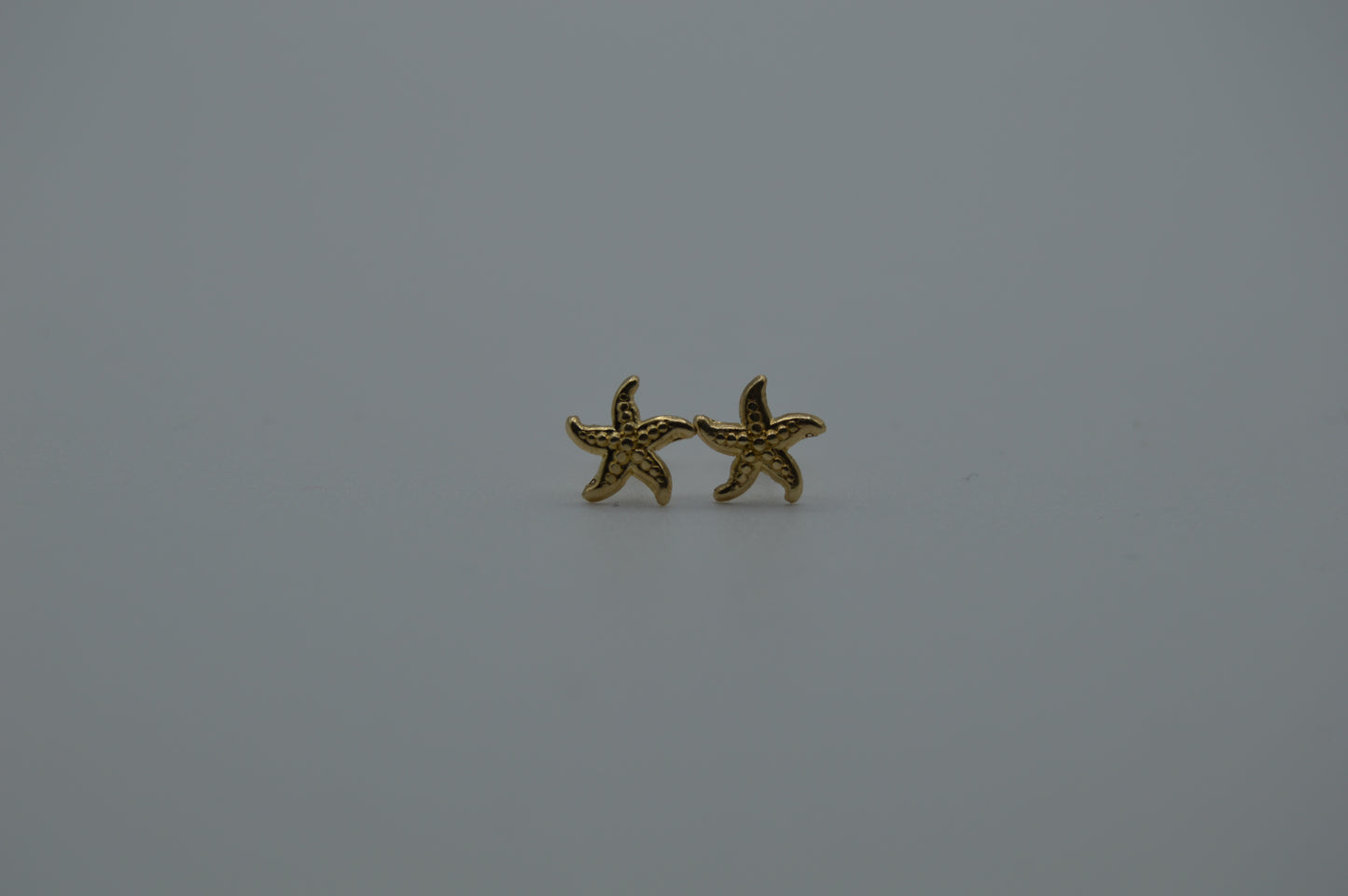 Estrella de mar grande