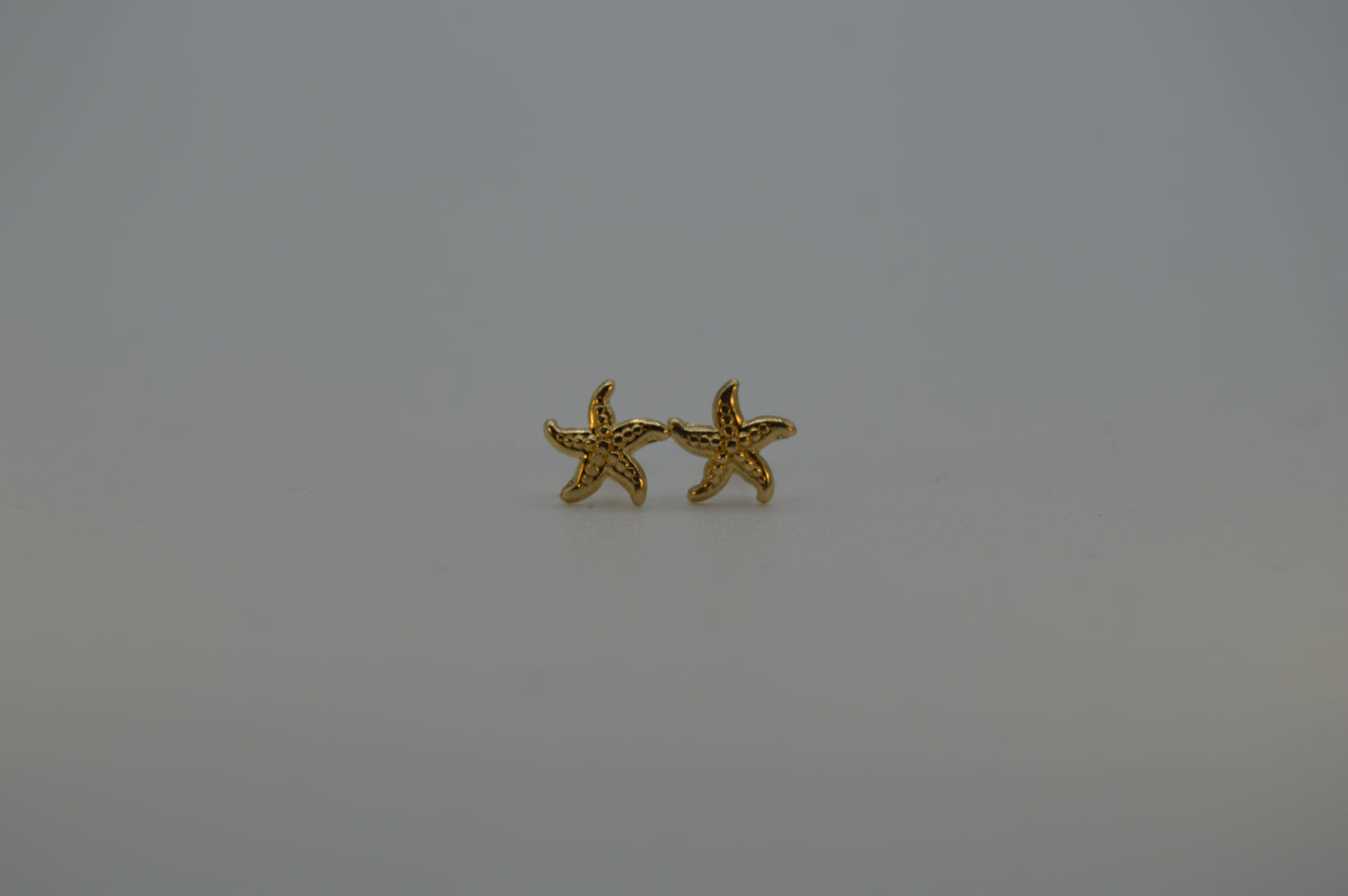 Estrella de mar grande