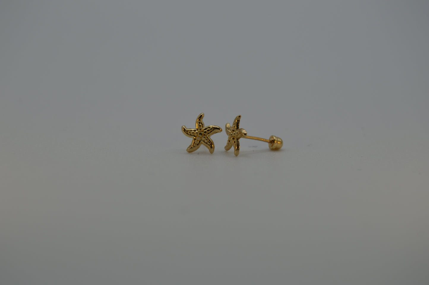 Estrella de mar grande