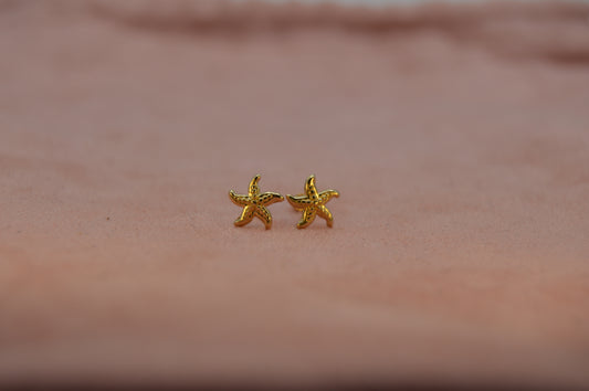 Estrella de mar grande